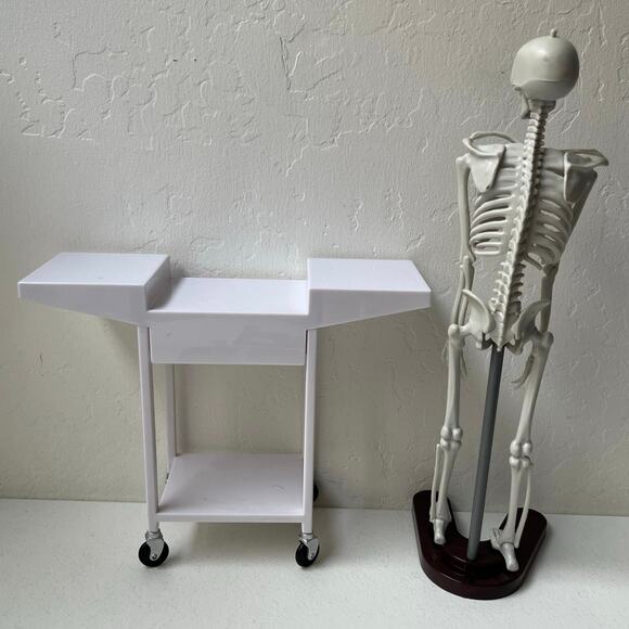 Our Generation School Room Science Lab for 18" Dolls Chemistry Stem Skeleton - Picture 3 of 13